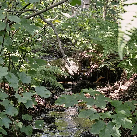 度假居 Forest House With Stream By Hjarbaek Fjord *